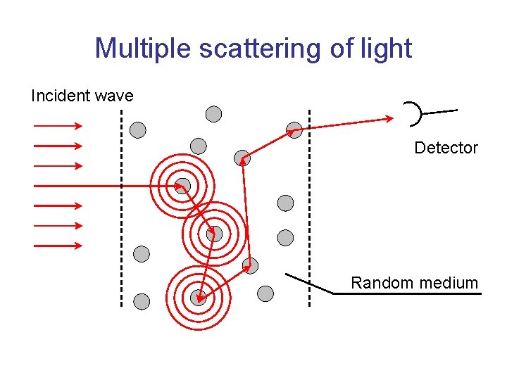 Multiple scattering of light Incident wave Detector Random medium 