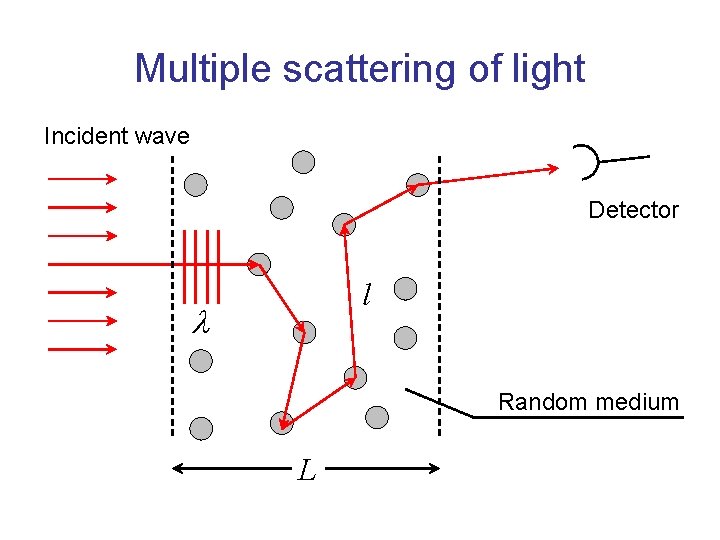 Multiple scattering of light Incident wave Detector l l Random medium L 
