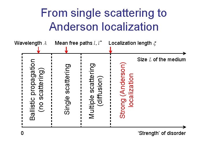 From single scattering to Anderson localization 0 Localization length x Strong (Anderson) localization Multiple
