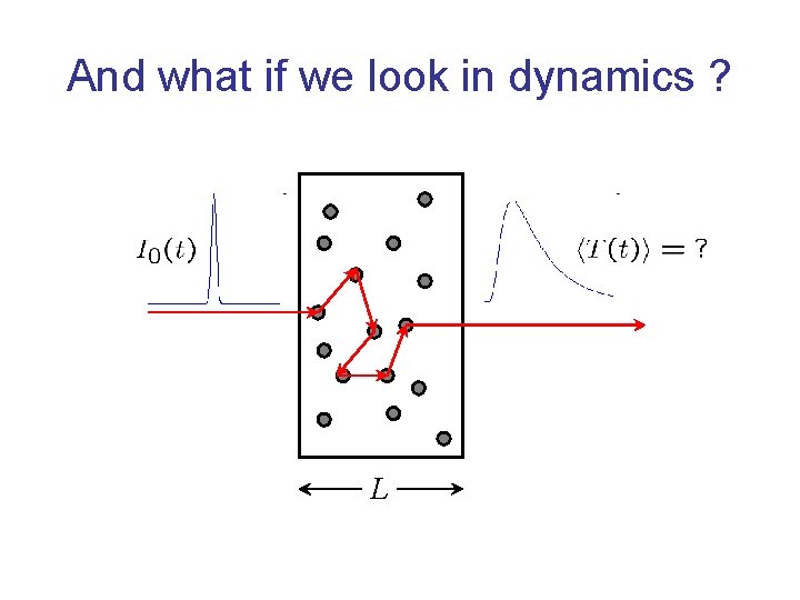 And what if we look in dynamics ? L 