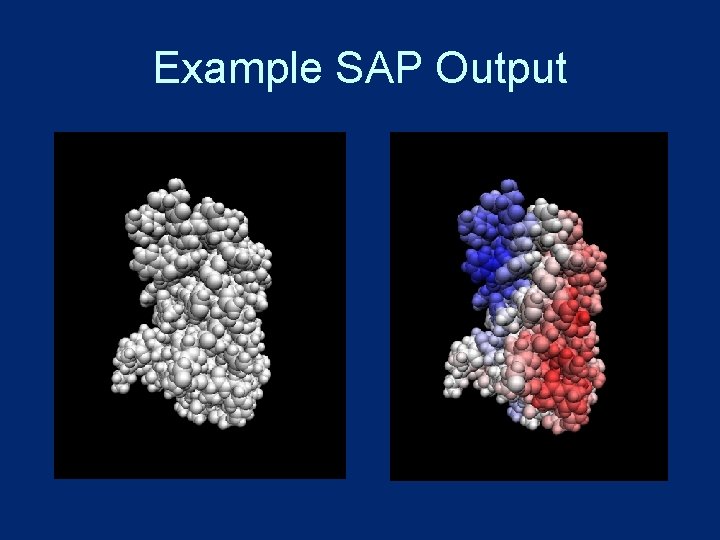 Example SAP Output 