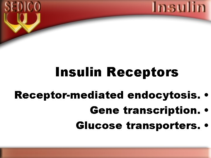 Insulin Receptors Receptor-mediated endocytosis. • Gene transcription. • Glucose transporters. • 