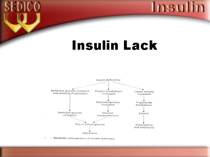 Insulin Lack 