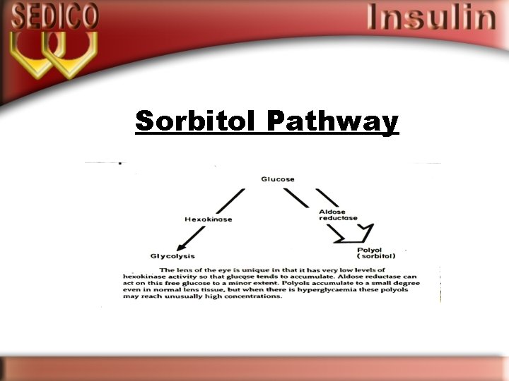 Sorbitol Pathway 