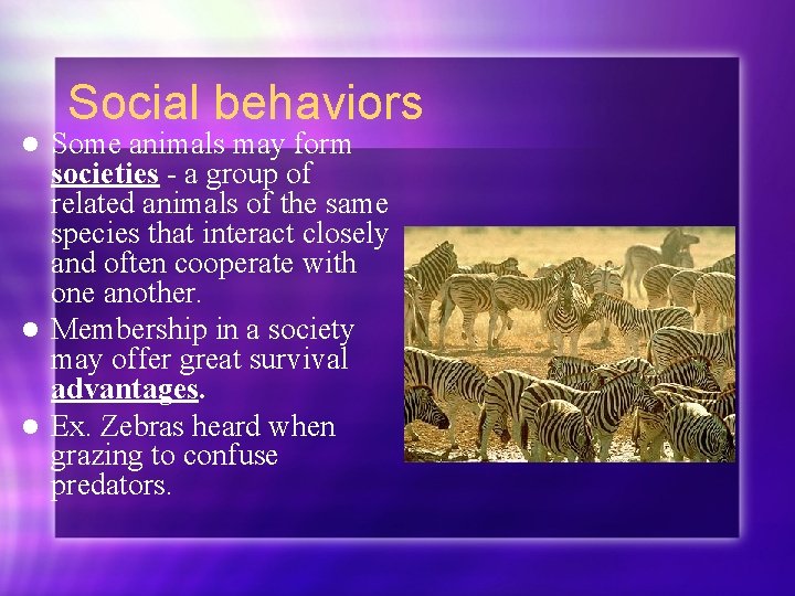 Social behaviors Some animals may form societies - a group of related animals of