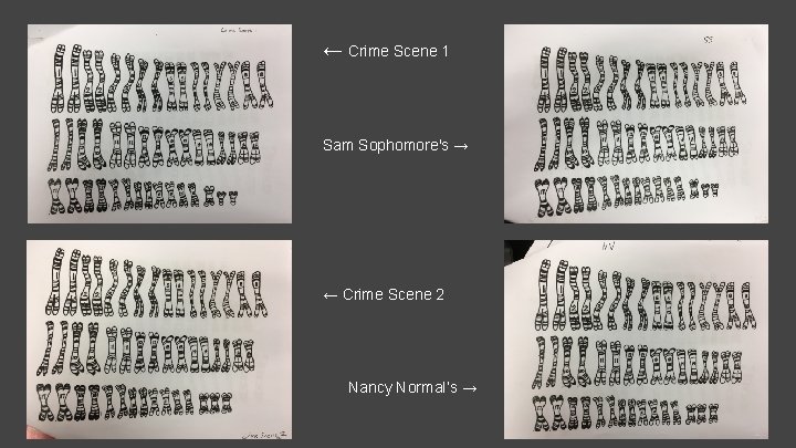 ← Crime Scene 1 Sam Sophomore's → ← Crime Scene 2 Nancy Normal’s →