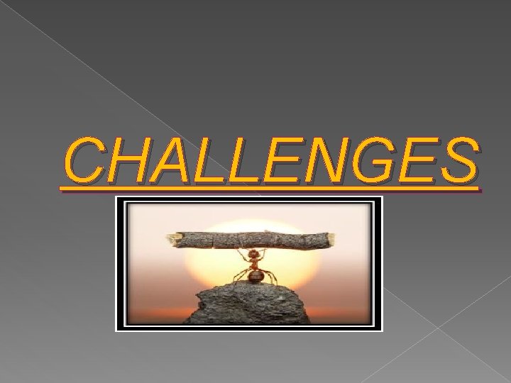 CHALLENGES 