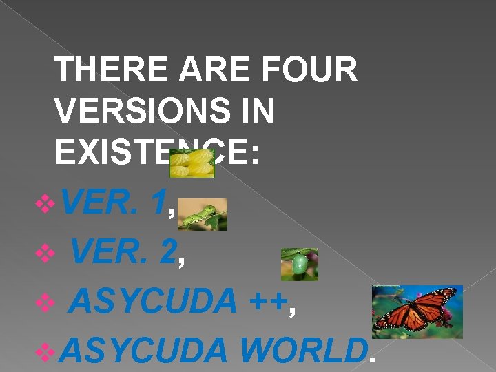 THERE ARE FOUR VERSIONS IN EXISTENCE: v. VER. 1, v VER. 2, v ASYCUDA