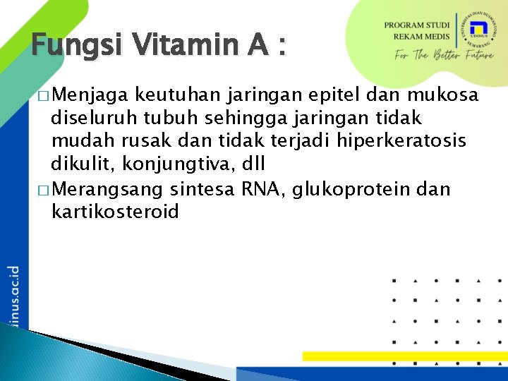 Fungsi Vitamin A : � Menjaga keutuhan jaringan epitel dan mukosa diseluruh tubuh sehingga