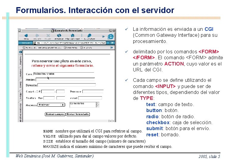 Formularios. Interacción con el servidor ü La información es enviada a un CGI (Common