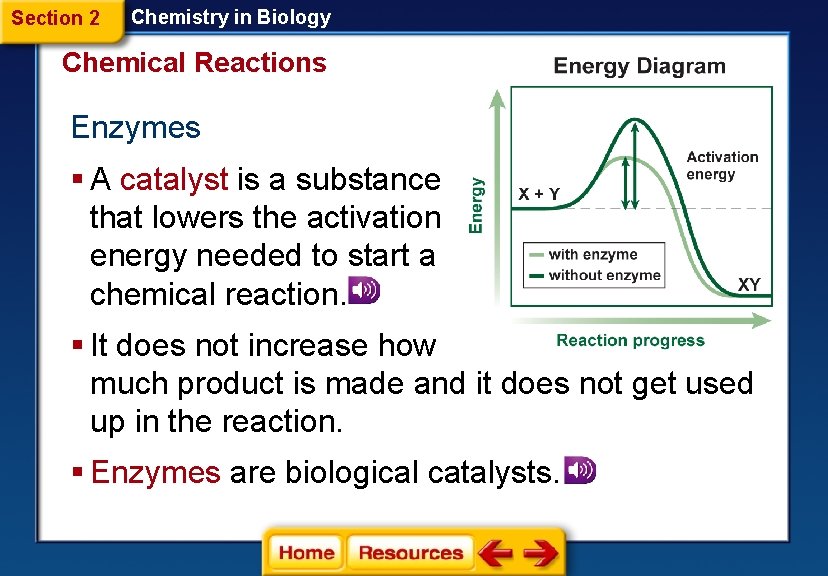 Section 2 Chemistry in Biology Chemical Reactions Enzymes § A catalyst is a substance