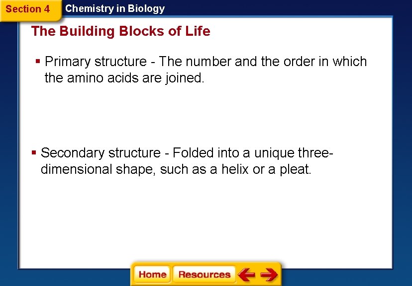 Section 4 Chemistry in Biology The Building Blocks of Life § Primary structure -