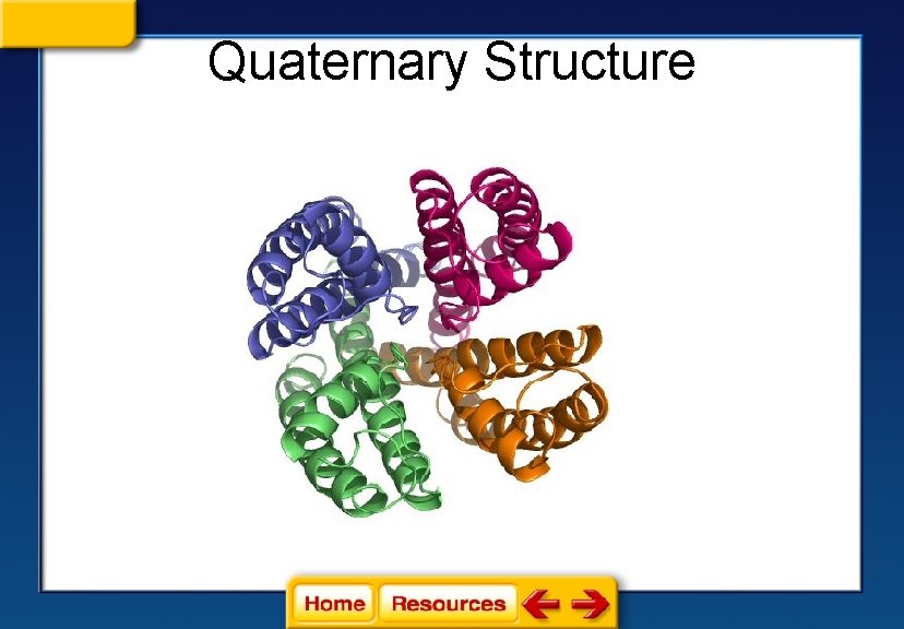 Quaternary Structure 
