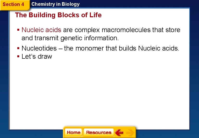 Section 4 Chemistry in Biology The Building Blocks of Life § Nucleic acids are