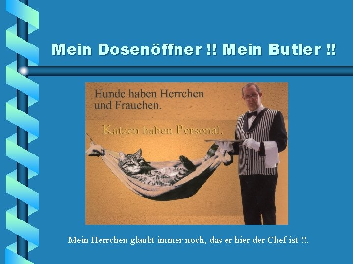 Mein Dosenöffner !! Mein Butler !! Mein Herrchen glaubt immer noch, das er hier