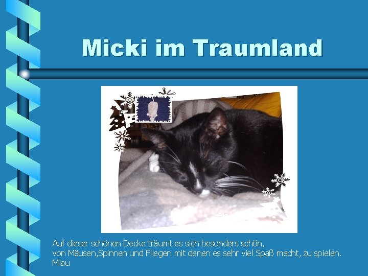 Micki im Traumland Auf dieser schönen Decke träumt es sich besonders schön, von Mäusen,