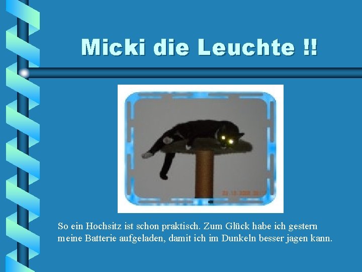 Micki die Leuchte !! So ein Hochsitz ist schon praktisch. Zum Glück habe ich