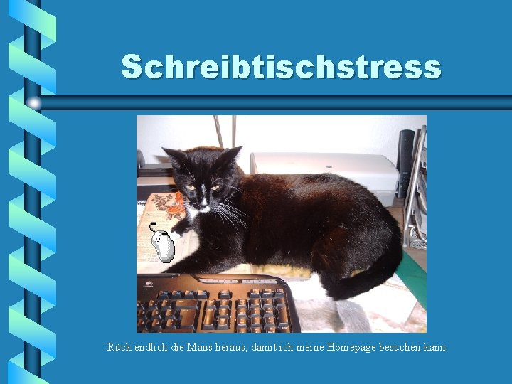 Schreibtischstress Rück endlich die Maus heraus, damit ich meine Homepage besuchen kann. 