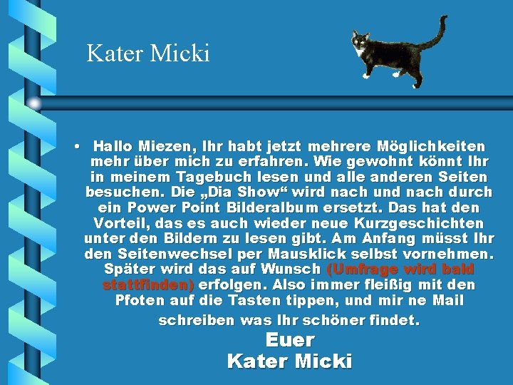 Kater Micki • Hallo Miezen, Ihr habt jetzt mehrere Möglichkeiten mehr über mich zu