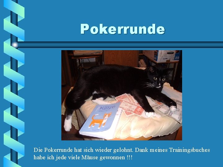 Pokerrunde Die Pokerrunde hat sich wieder gelohnt. Dank meines Trainingsbuches habe ich jede viele