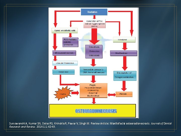 Suryawanshi A, Kumar SN, Dolas RS, Khindria R, Pawar V, Singh M. Review Article: