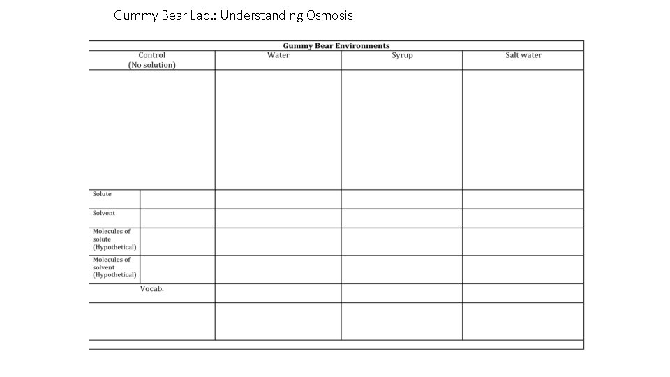 Gummy Bear Lab. : Understanding Osmosis 