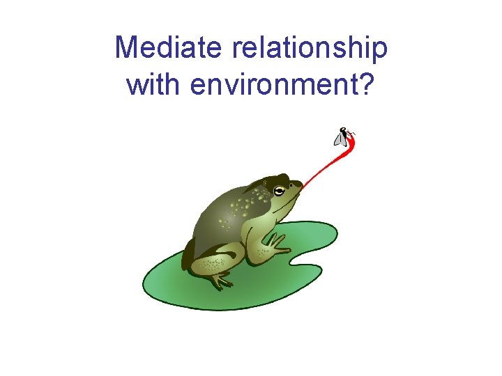 Mediate relationship with environment? 