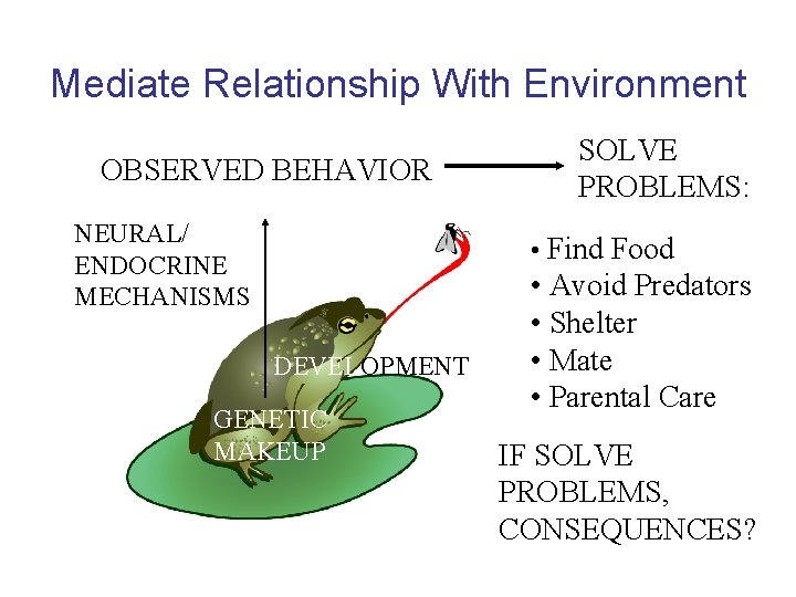 Mediate Relationship With Environment OBSERVED BEHAVIOR NEURAL/ ENDOCRINE MECHANISMS SOLVE PROBLEMS: • Find Food