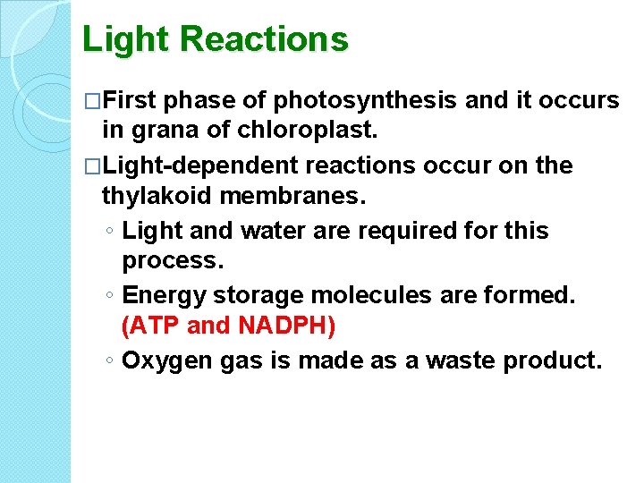 Light Reactions �First phase of photosynthesis and it occurs in grana of chloroplast. �Light-dependent