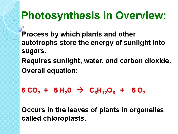 Photosynthesis in Overview: Process by which plants and other autotrophs store the energy of