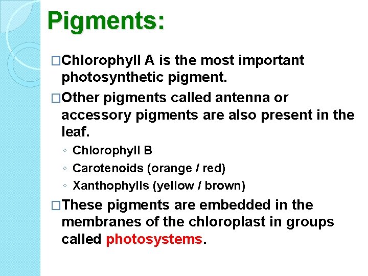 Pigments: �Chlorophyll A is the most important photosynthetic pigment. �Other pigments called antenna or