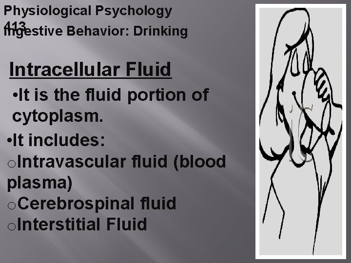 Physiological Psychology 413 Ingestive Behavior: Drinking Intracellular Fluid • It is the fluid portion