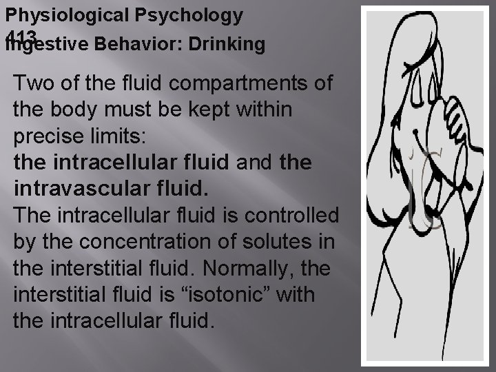 Physiological Psychology 413 Ingestive Behavior: Drinking Two of the fluid compartments of the body