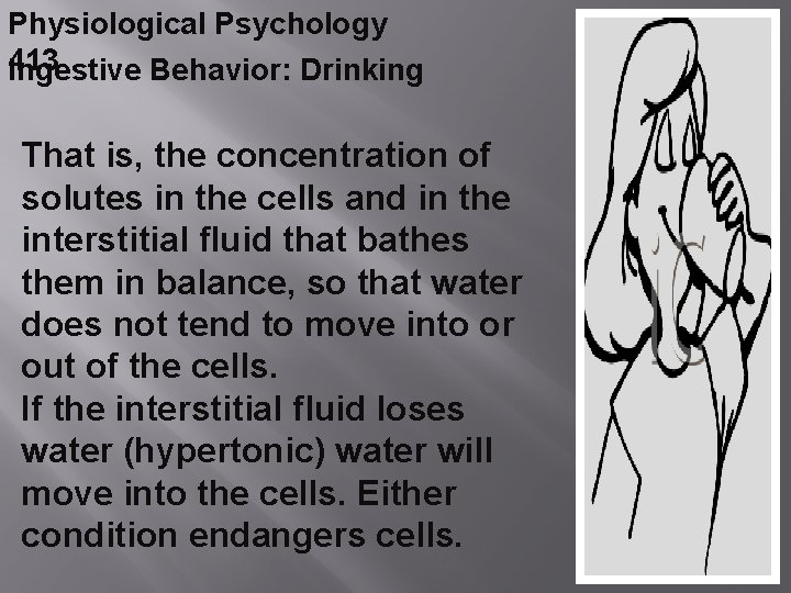 Physiological Psychology 413 Ingestive Behavior: Drinking That is, the concentration of solutes in the