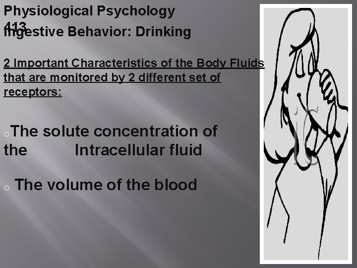 Physiological Psychology 413 Ingestive Behavior: Drinking 2 Important Characteristics of the Body Fluids that