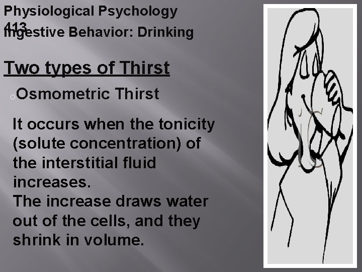 Physiological Psychology 413 Ingestive Behavior: Drinking Two types of Thirst o. Osmometric Thirst It