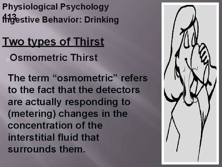 Physiological Psychology 413 Ingestive Behavior: Drinking Two types of Thirst o. Osmometric Thirst The