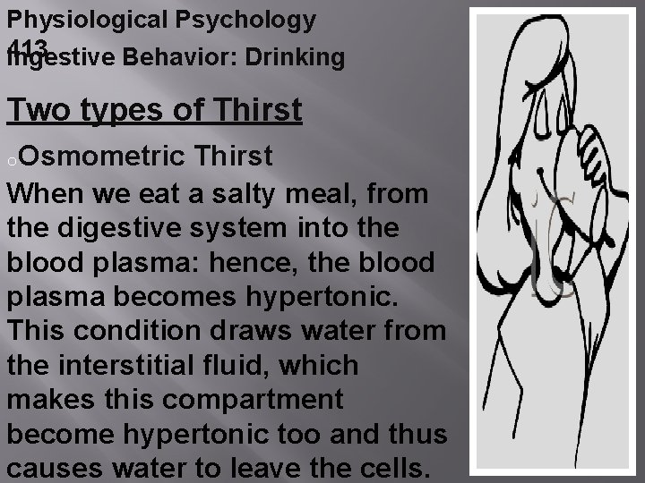 Physiological Psychology 413 Ingestive Behavior: Drinking Two types of Thirst o. Osmometric Thirst When