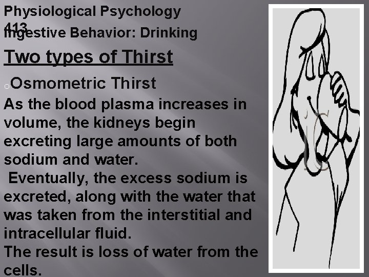 Physiological Psychology 413 Ingestive Behavior: Drinking Two types of Thirst o. Osmometric Thirst As