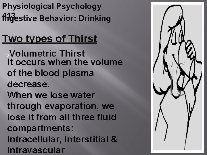 Physiological Psychology 413 Ingestive Behavior: Drinking Two types of Thirst o. Volumetric Thirst It