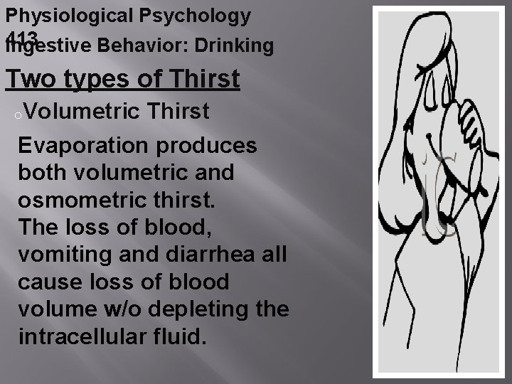 Physiological Psychology 413 Ingestive Behavior: Drinking Two types of Thirst o. Volumetric Thirst Evaporation