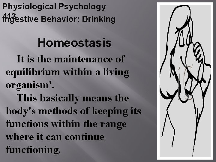 Physiological Psychology 413 Ingestive Behavior: Drinking Homeostasis It is the maintenance of equilibrium within