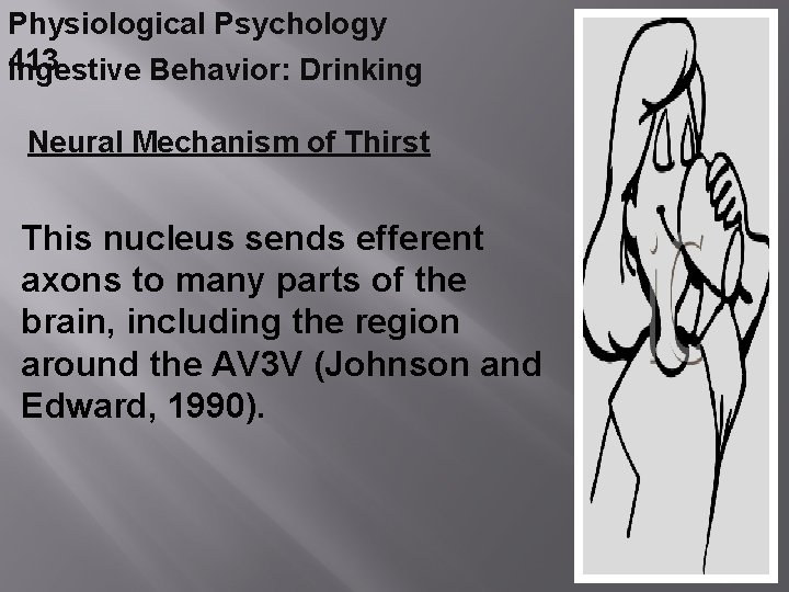 Physiological Psychology 413 Ingestive Behavior: Drinking Neural Mechanism of Thirst This nucleus sends efferent