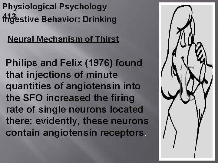 Physiological Psychology 413 Ingestive Behavior: Drinking Neural Mechanism of Thirst Philips and Felix (1976)