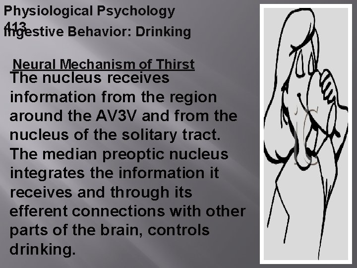 Physiological Psychology 413 Ingestive Behavior: Drinking Neural Mechanism of Thirst The nucleus receives information