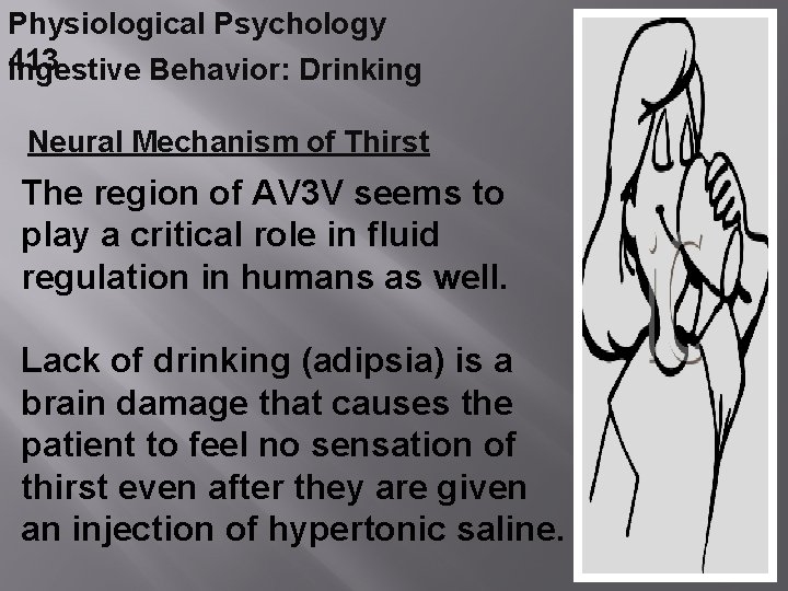 Physiological Psychology 413 Ingestive Behavior: Drinking Neural Mechanism of Thirst The region of AV