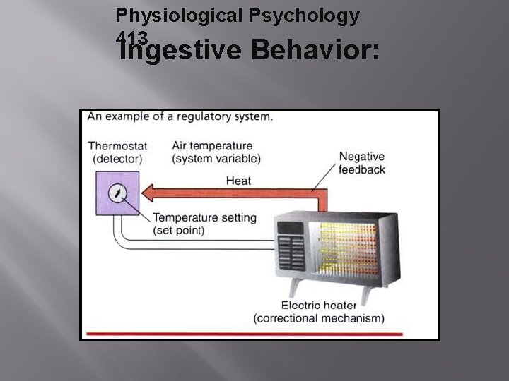 Physiological Psychology 413 Ingestive Behavior: 