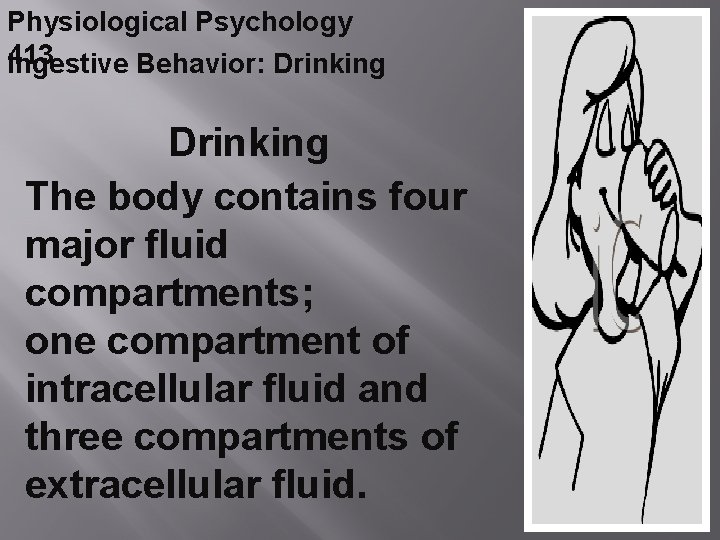 Physiological Psychology 413 Ingestive Behavior: Drinking The body contains four major fluid compartments; one