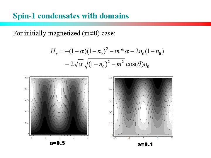 Spin-1 condensates with domains For initially magnetized (m≠ 0) case: a=0. 5 a=0. 1