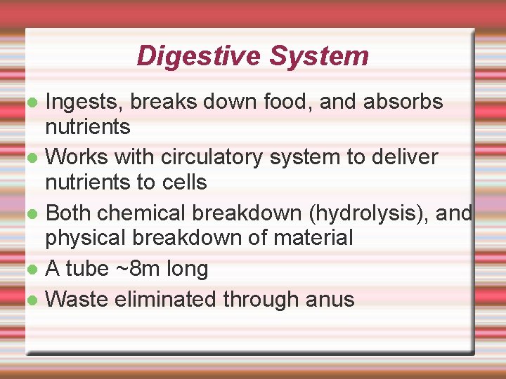 Digestive System Ingests, breaks down food, and absorbs nutrients Works with circulatory system to